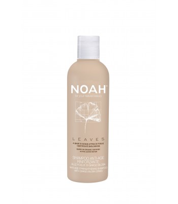 NOAH atjaunojošs un nostiprinošs šampūns ar ginko biloba lapām